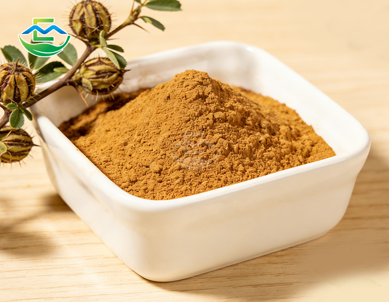 Pure Tribulus Terrestris Extract